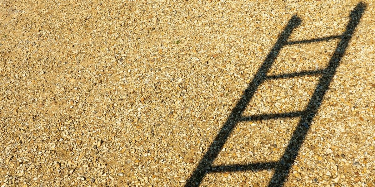 Women Are Climbing Down the Ladder, Redefining Success