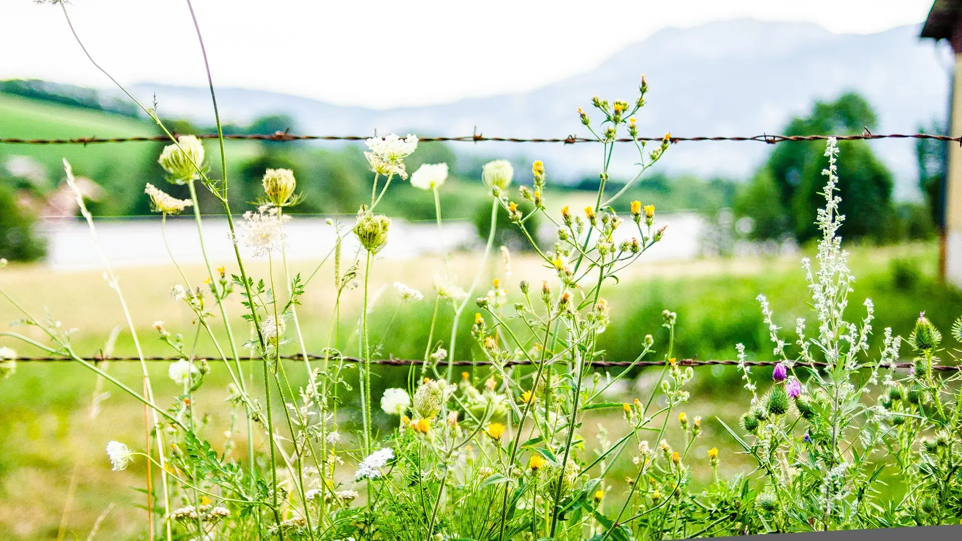 Secure Your Sovereignty: The Single Woman’s Guide to Estate Planning